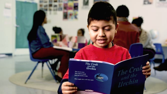 student reading geodes book