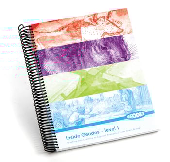 Insides Geodes v.1 Insides Geodes v.1