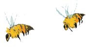 illustration of two bees illustration of two bees