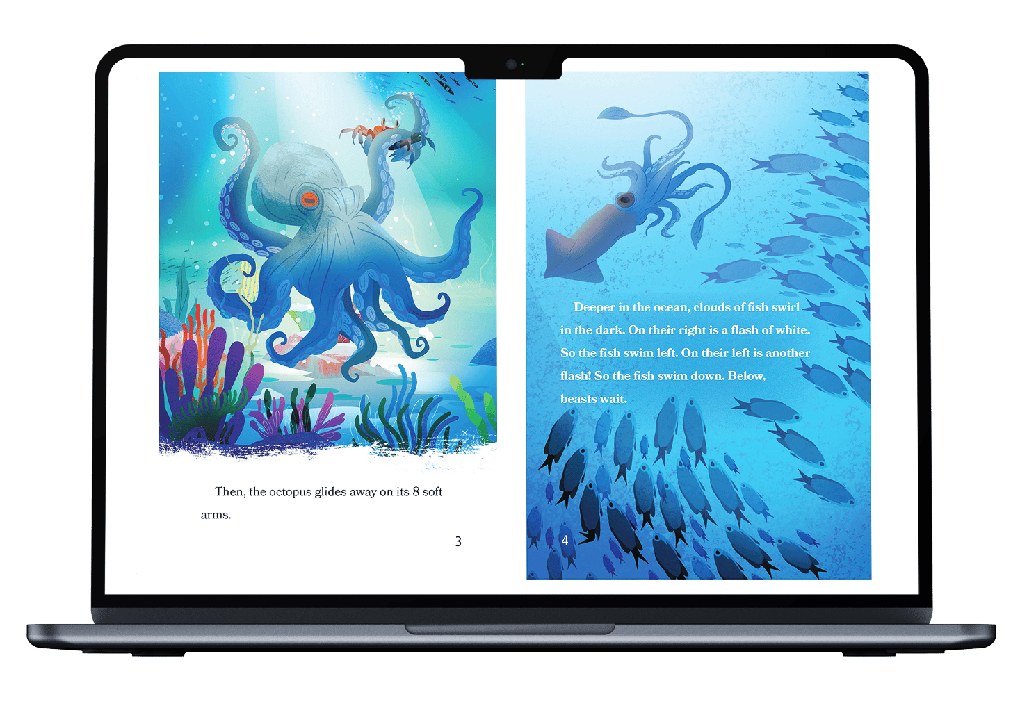 Laptop showcasing Geodes book Laptop showcasing Geodes book