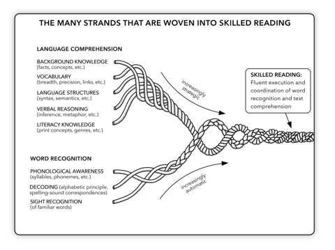 Reading Rope-web Reading Rope-web